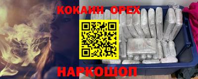 apvp Бийск
