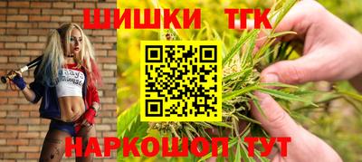 apvp Бийск