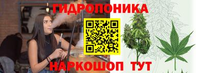 apvp Бийск