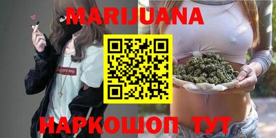 apvp Бийск